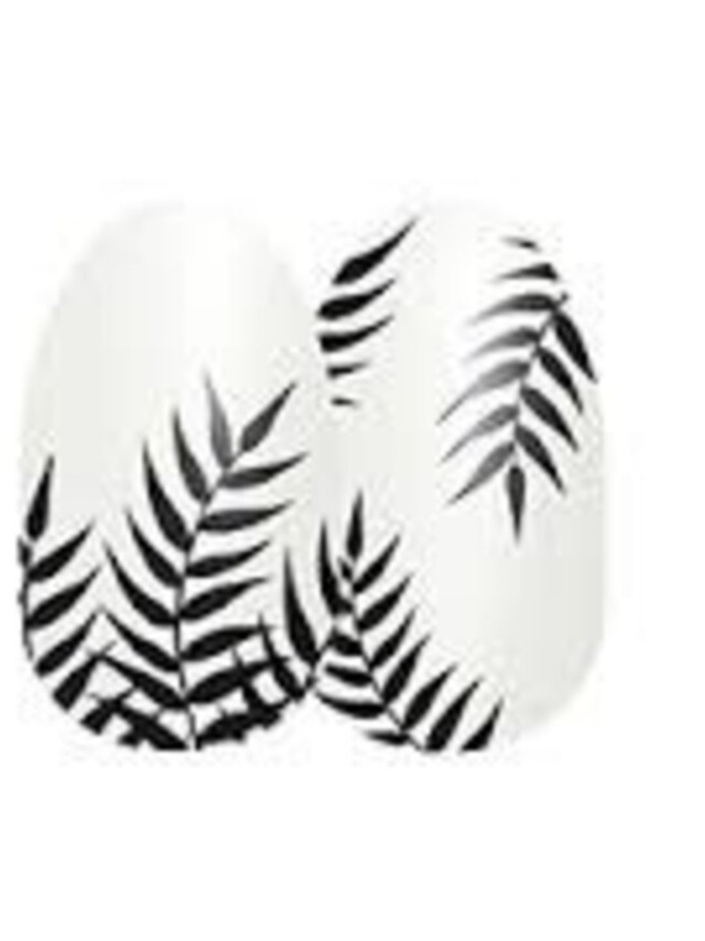Color Street Palm Before the Storm FDL040 clear overlay black leaf design 16pcs - Picture 5 of 11
